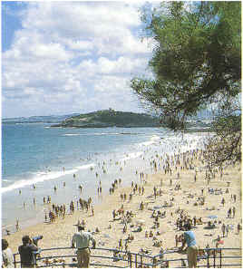 playa.bmp (239646 bytes)